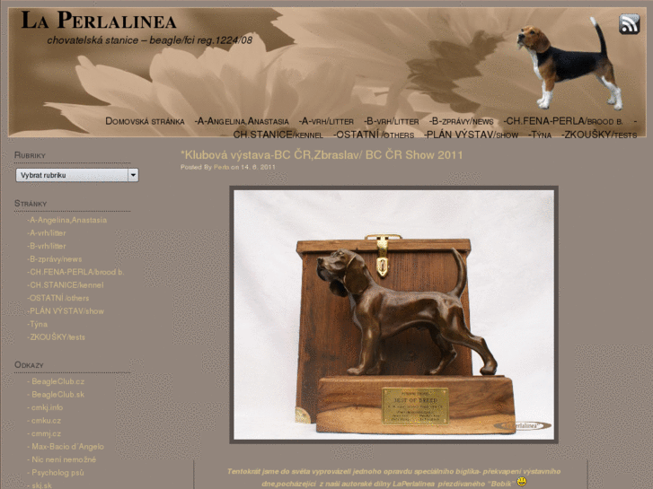 www.laperlalinea-beagle.com