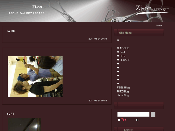 www.zi-on.net