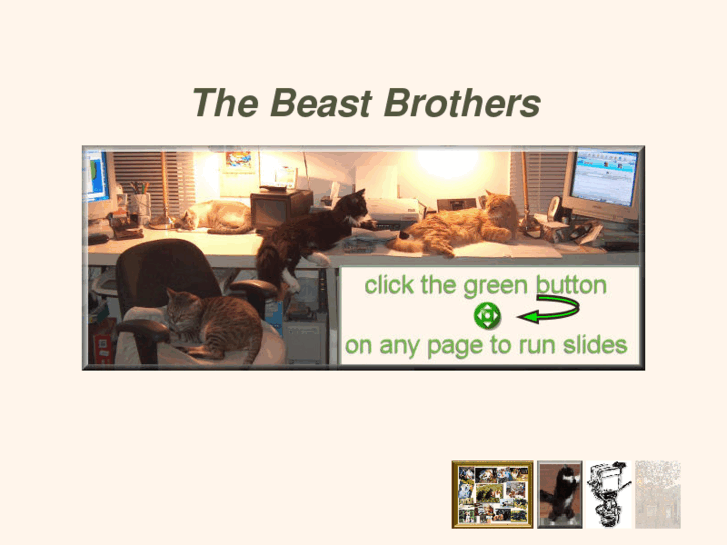 www.beastbrothers.com