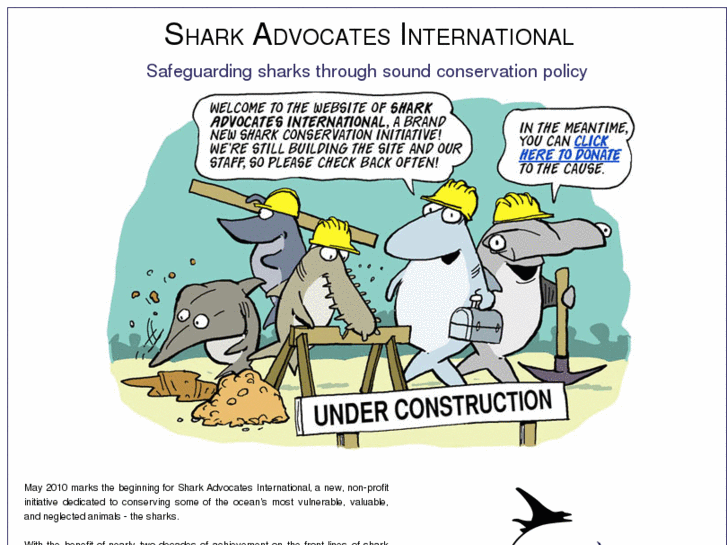 www.sharkadvocatesinternational.org