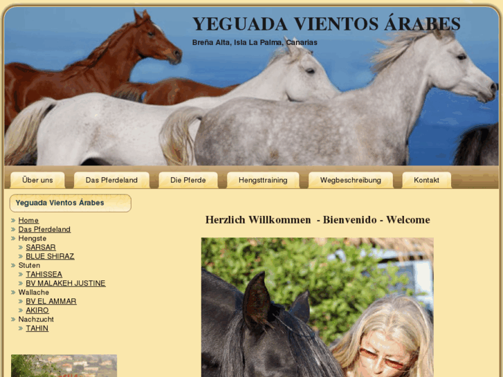 www.vientos-arabes.com