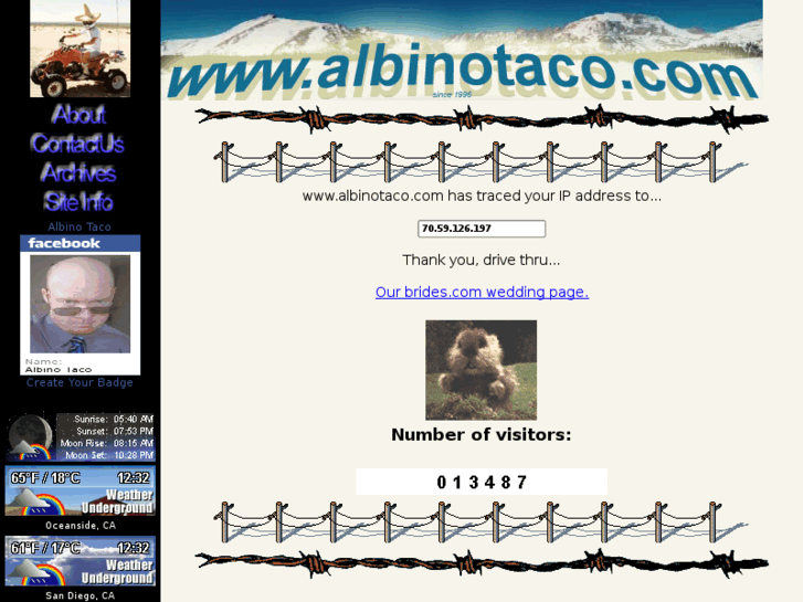 www.albinotaco.com