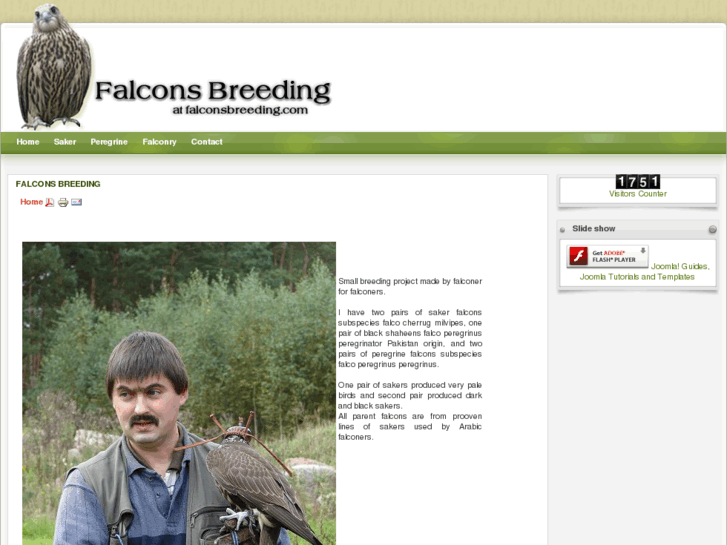 www.falconsbreeding.com