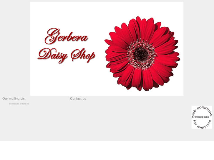 www.gerberadaisyshop.com