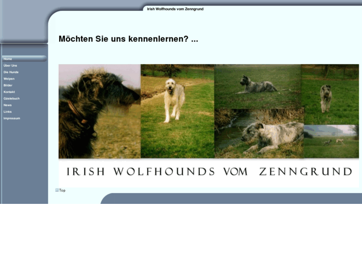 www.irish-wolfhound-vom-zenngrund.com