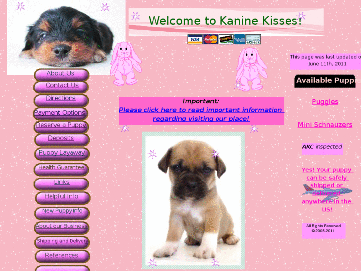 www.kaninekisses.com