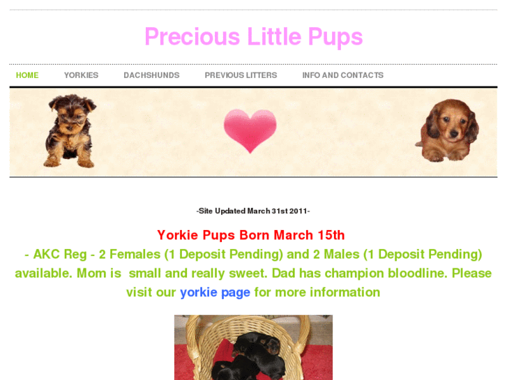 www.preciouslittlepups.com