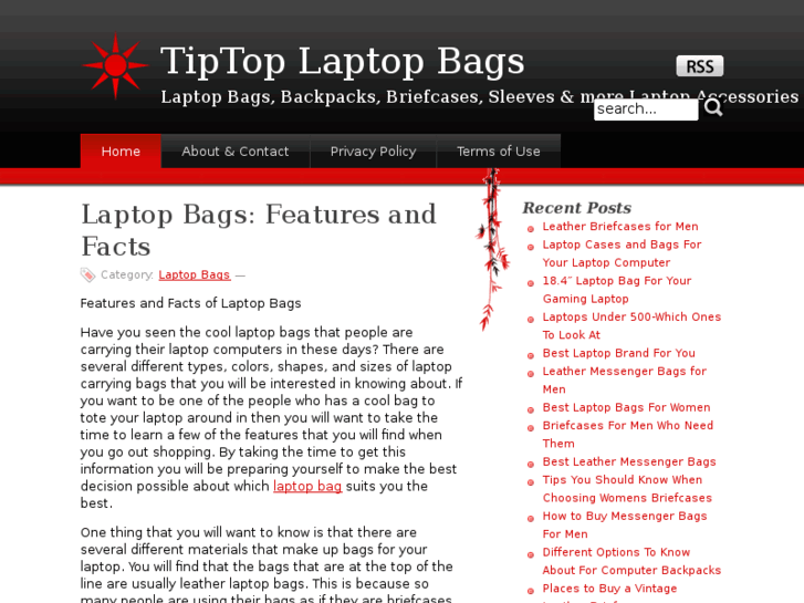 www.tiptoplaptopbags.com