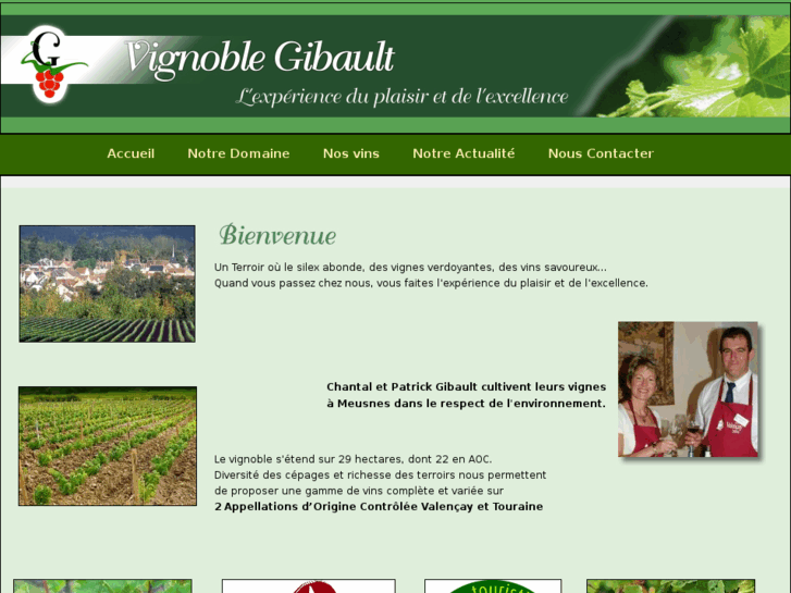 www.vignoblegibault.com