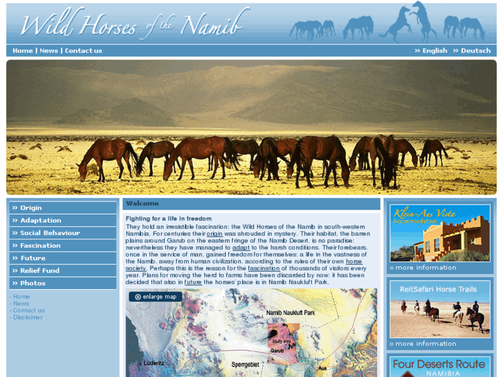 www.wild-horses-namibia.com