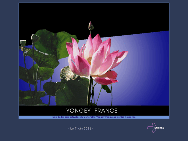 www.yongey-france.com