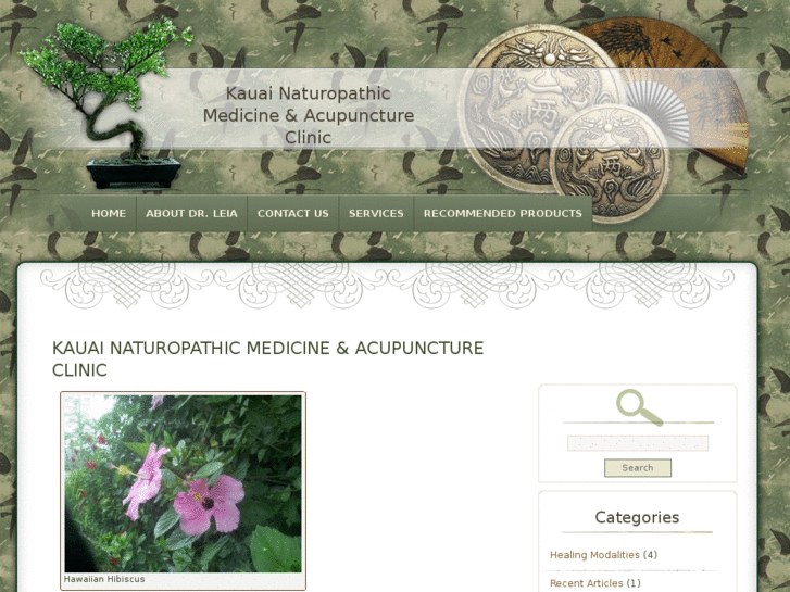 www.acupuncturekauai.com