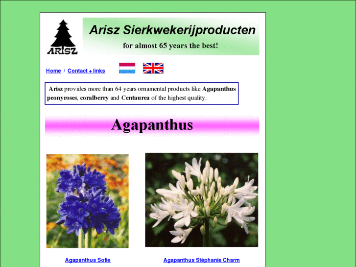 www.agapanthus.eu