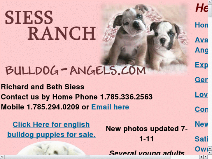 www.bulldogangels.com