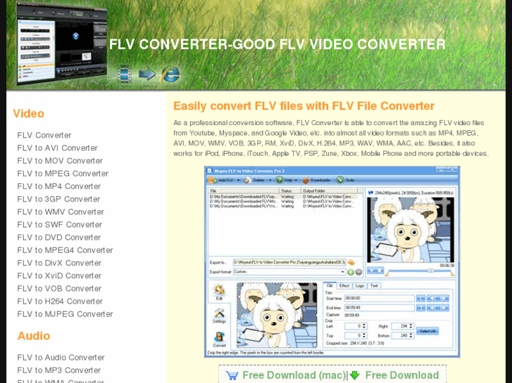 www.flv-converter.biz