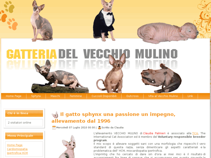 www.gatteriadelvecchiomulino.com