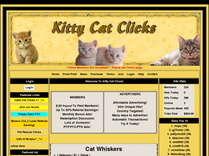 www.kittycatclicks.info