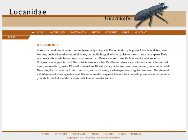 www.lucanidae.info