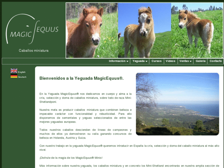 www.magicequus.com