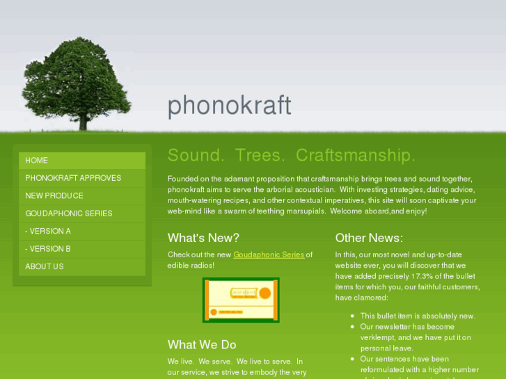 www.phonokraft.com