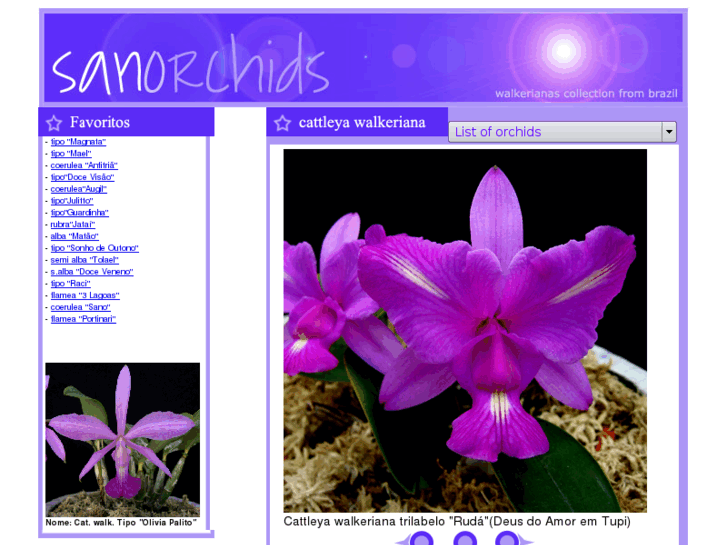 www.sanorchids.com