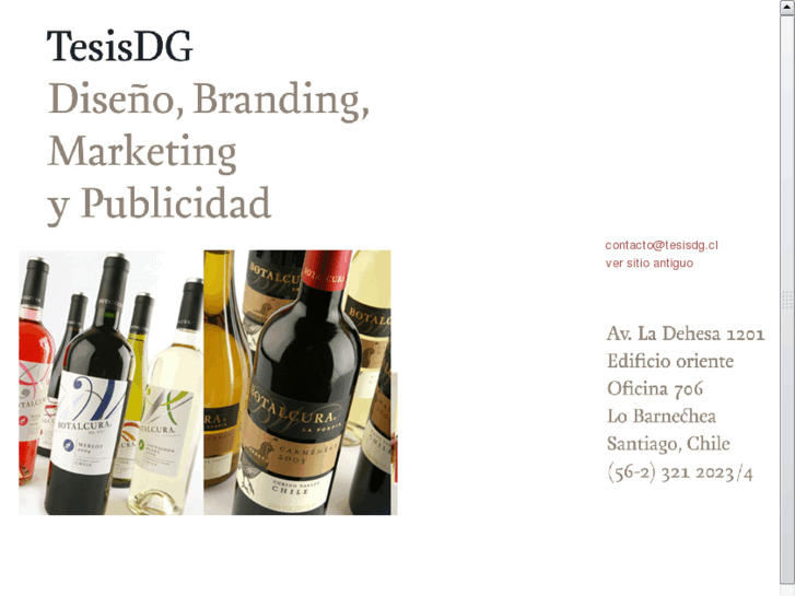 www.tesisdg.cl