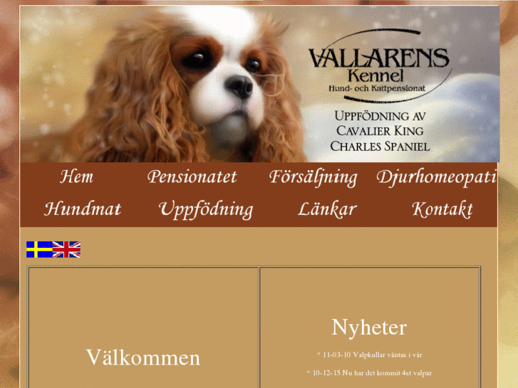 www.vallaren.com