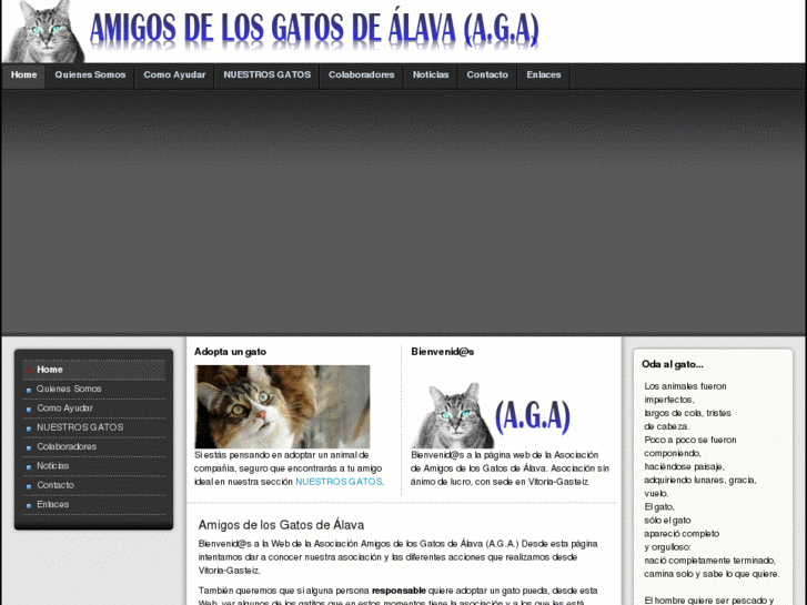 www.amigosgatosalava.com