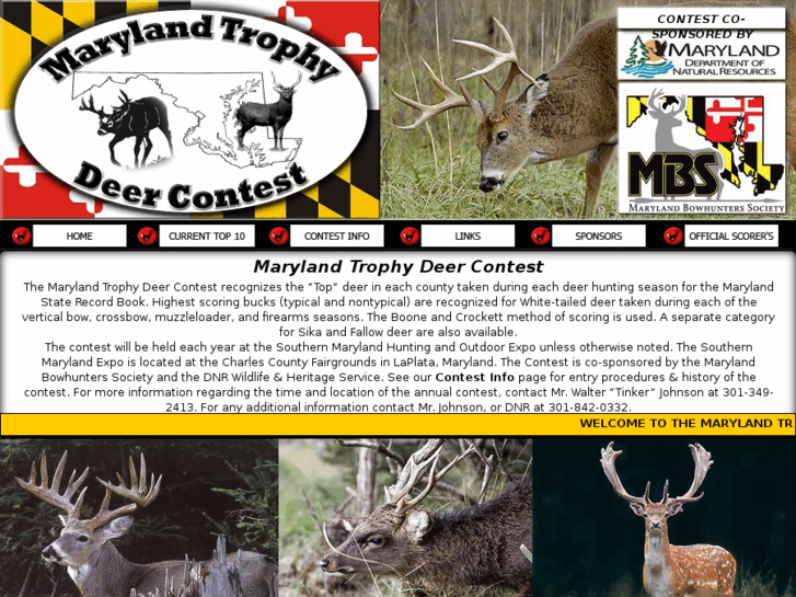 www.marylandtrophydeer.com