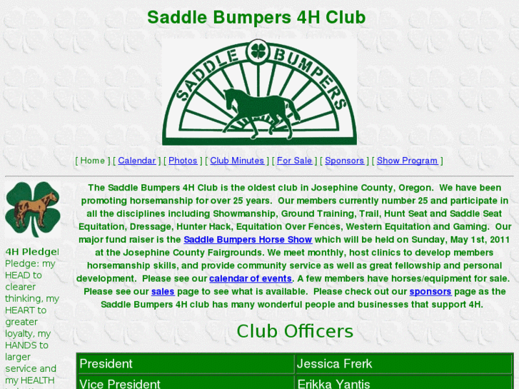 www.saddlebumpers.com