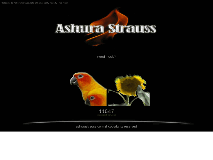 www.ashurastrauss.com