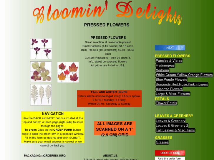 www.bloomindelights.com