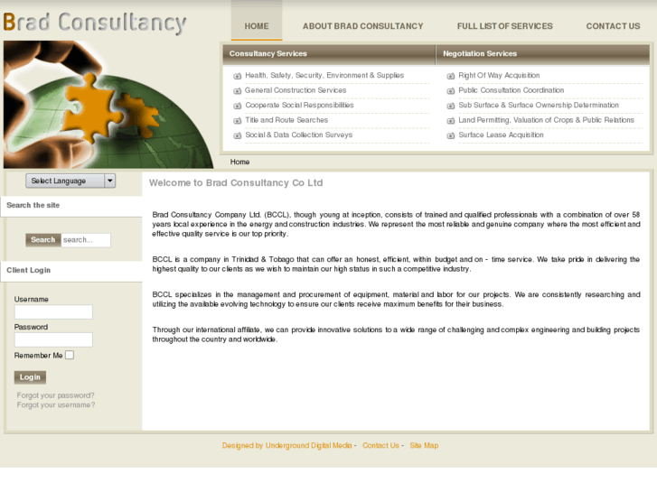 www.bradconsult.com