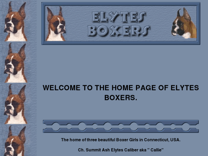 www.elytesboxers.com