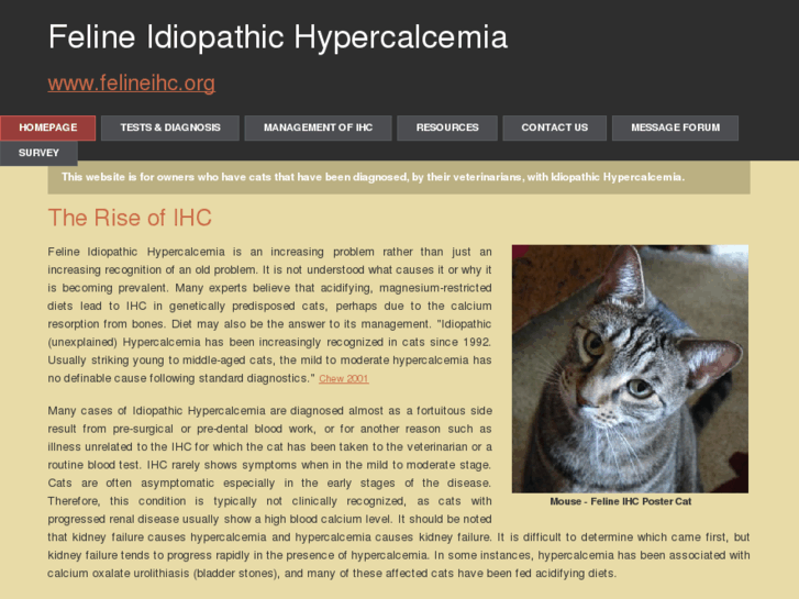 www.felineihc.org