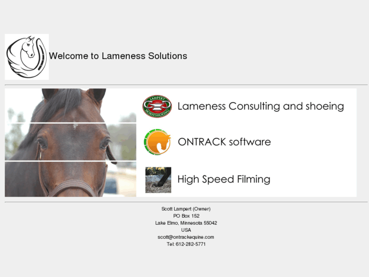 www.lamenesssolutions.com