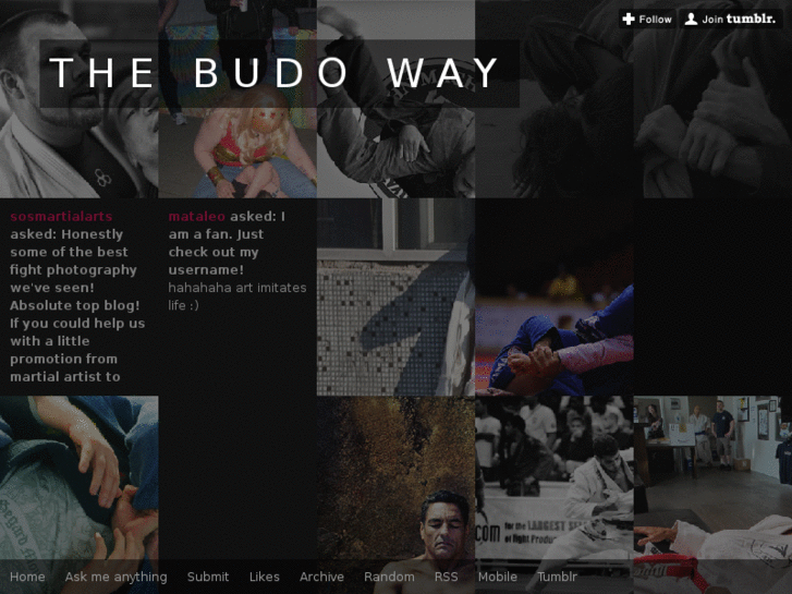 www.thebudoway.com