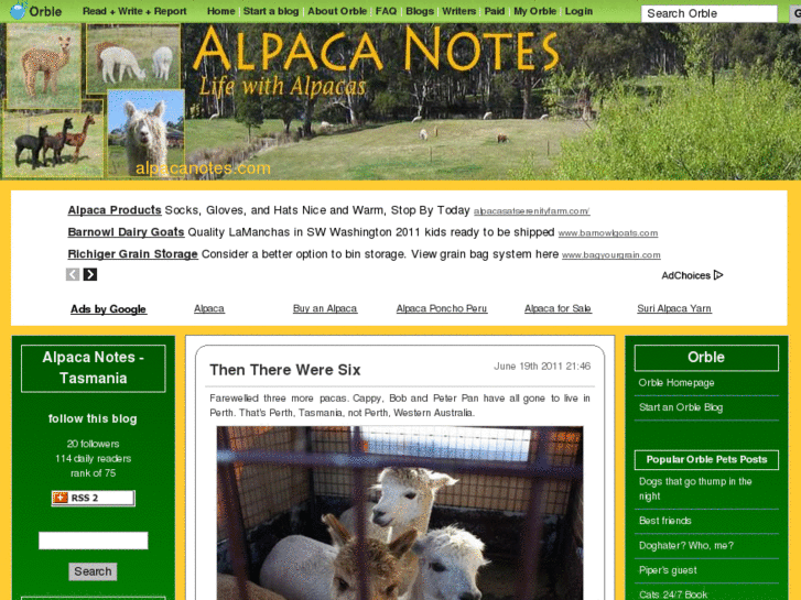 www.alpacanotes.com