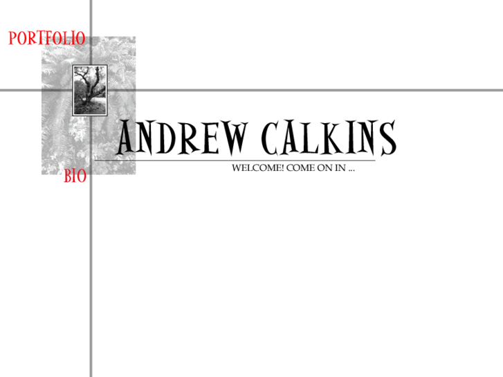 www.andrew-calkins.net
