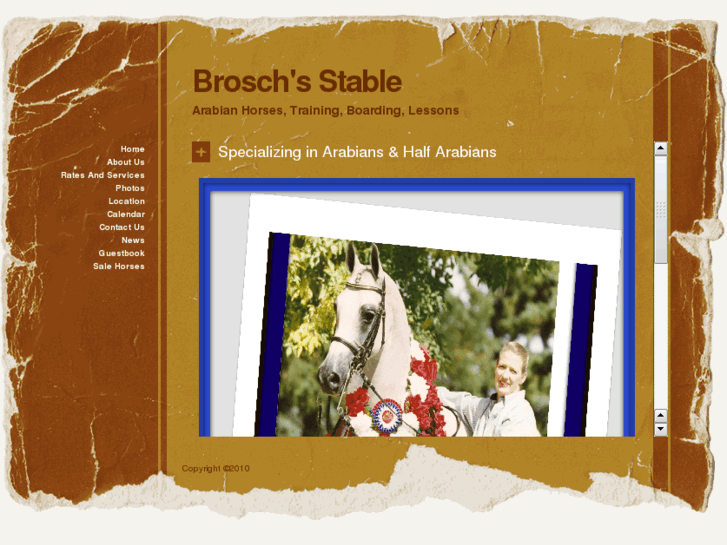 www.broschstable.com