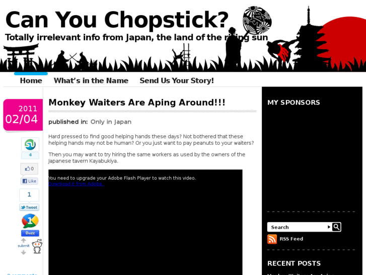 www.canyouchopstick.com