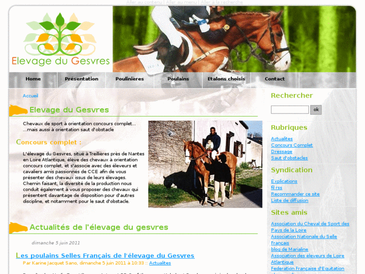 www.elevage-chevaux-gesvres.com