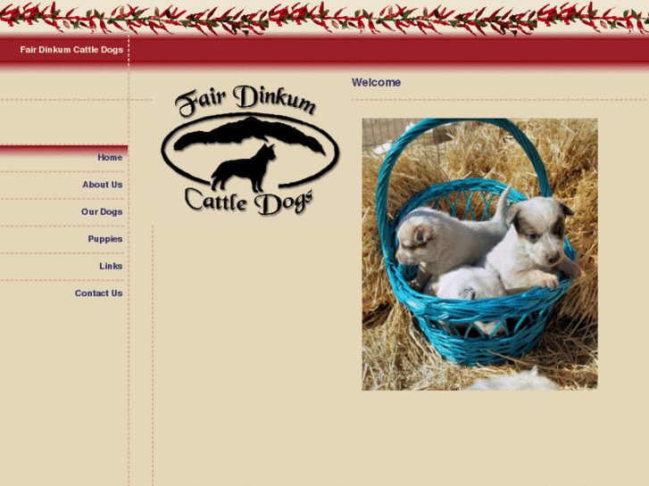 www.fairdinkumcattledogs.com