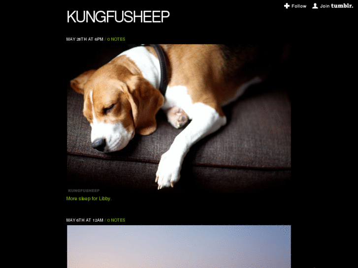 www.kungfusheep.com