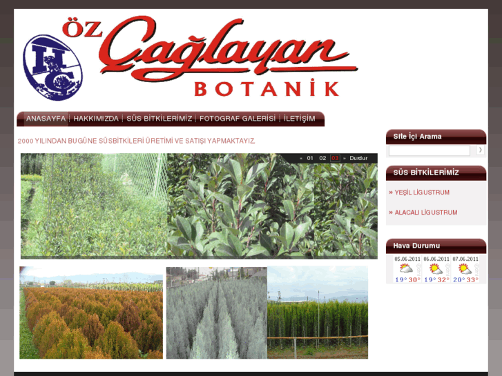 www.ozcaglayanbotanik.com