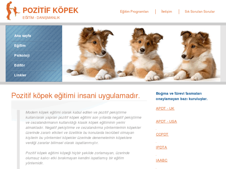 www.pozitifkopek.net