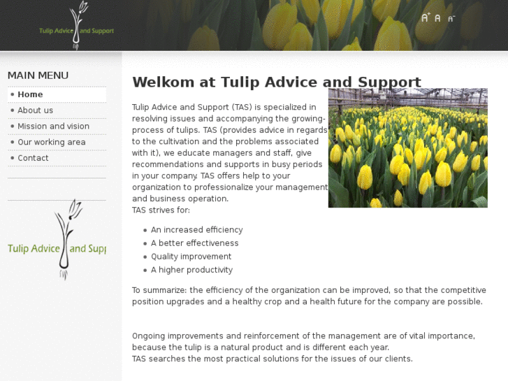 www.tulipadvice.com