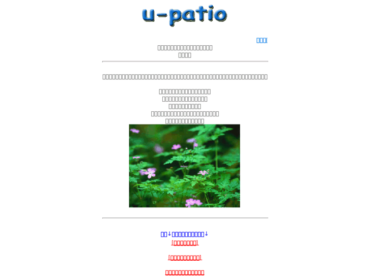 www.u-patio.net