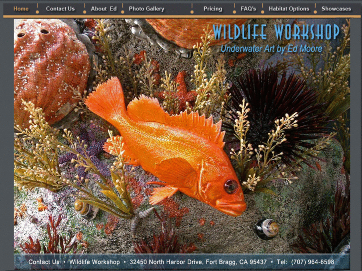 www.wildlifeworkshop.com