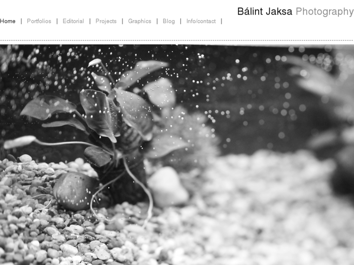 www.balintjaksa.com